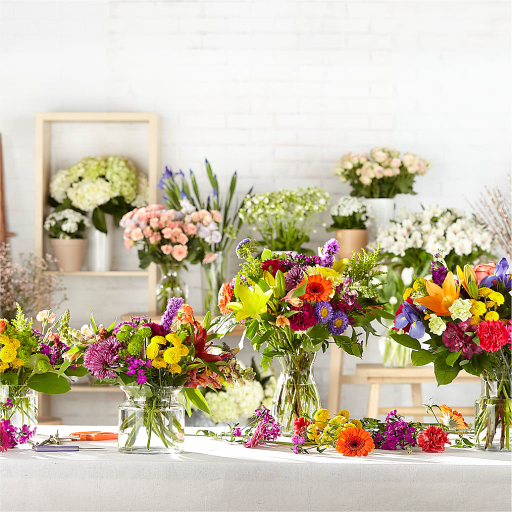 Bold & Bright – A Florist Original – Bird Of Paradise Flowers, Bristol PA