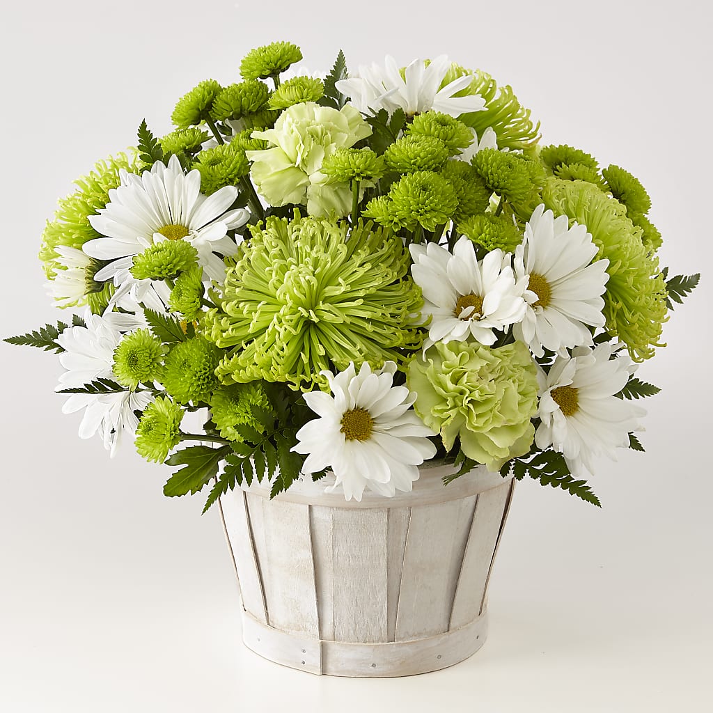 Lucky Charm Basket (Standard) – Bird Of Paradise Flowers, Bristol PA