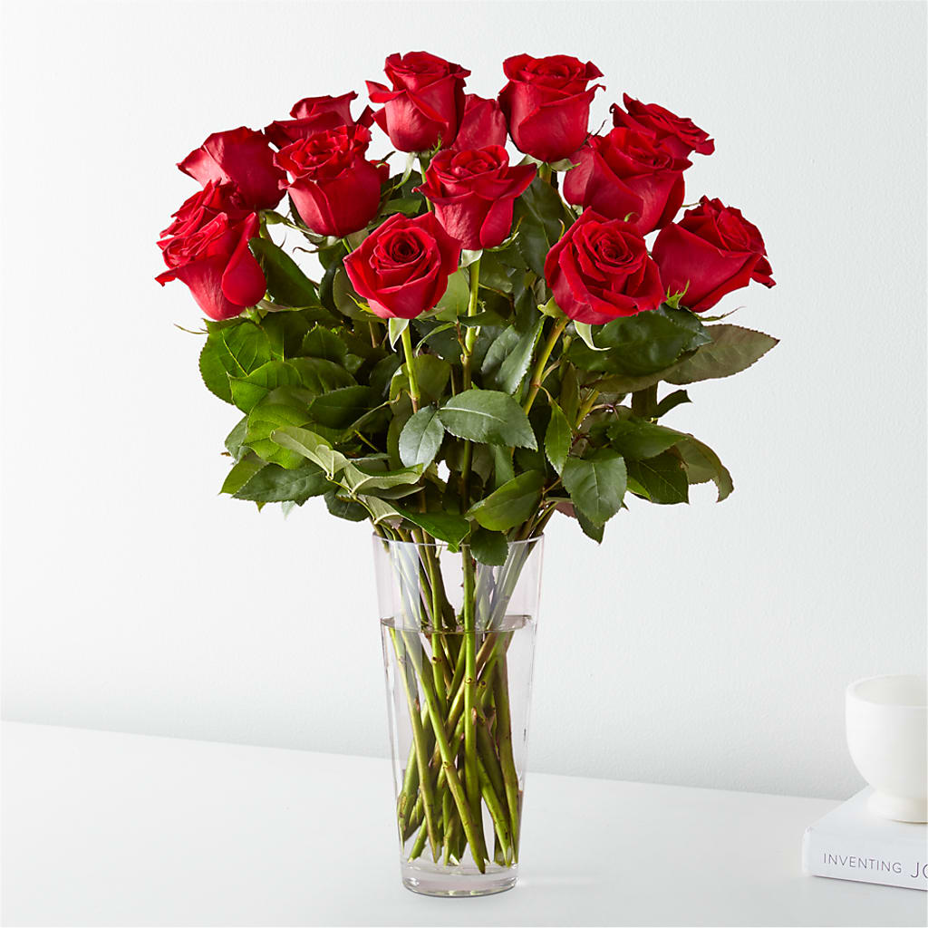 Long Stem Red Rose Bouquet – Bird Of Paradise Flowers, Bristol PA