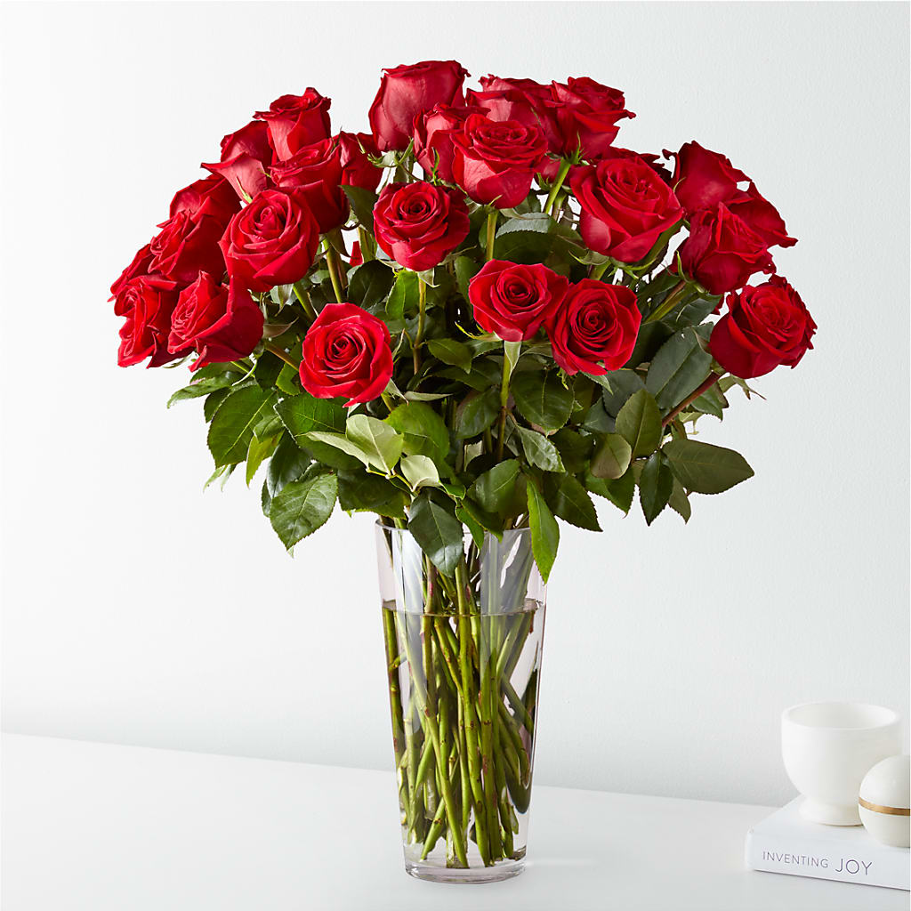 Long Stem Red Rose Bouquet – Bird Of Paradise Flowers, Bristol PA