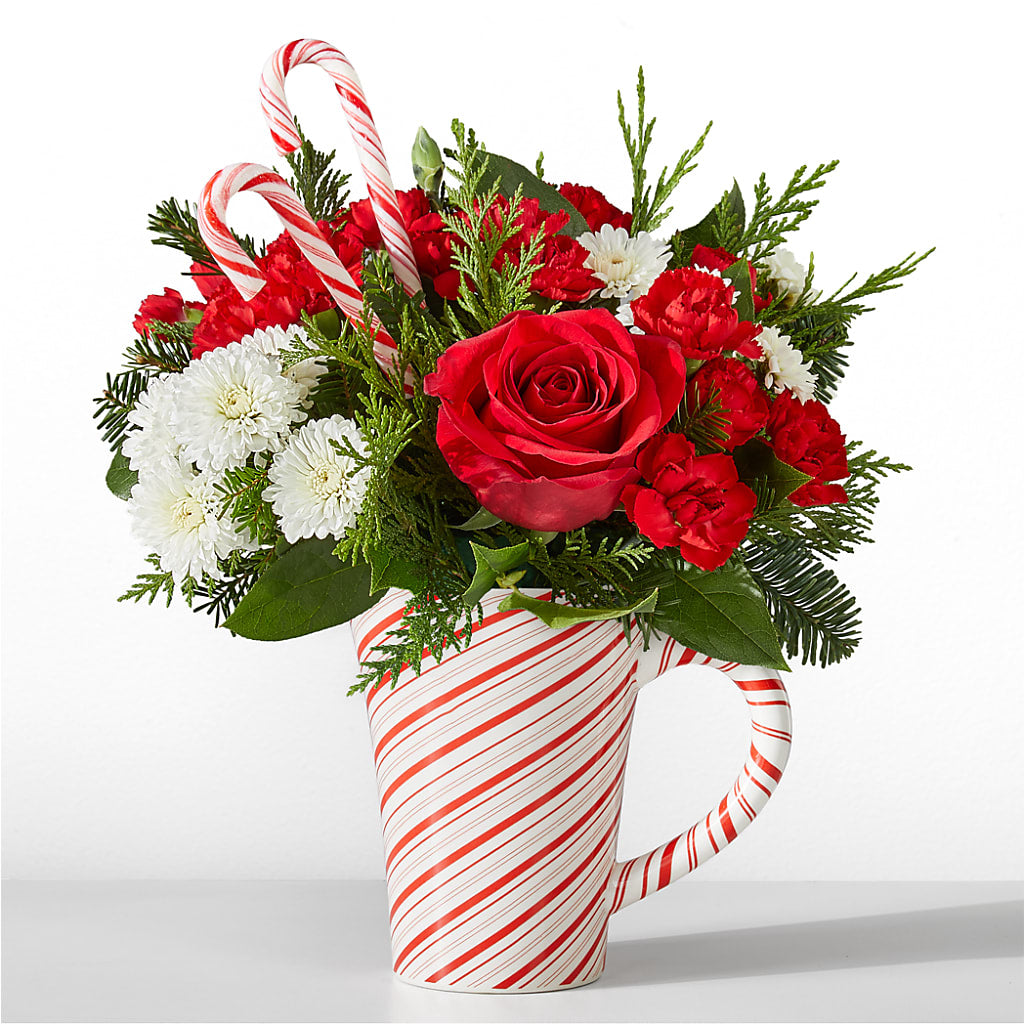 Peppermint Swirl Mug – Bird Of Paradise Flowers, Bristol PA