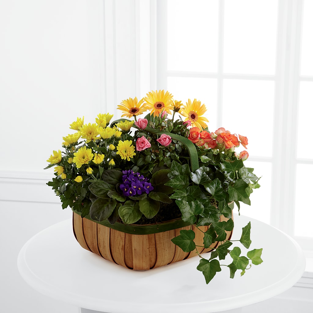 Gentle Blossoms Basket – Bird Of Paradise Flowers, Bristol PA