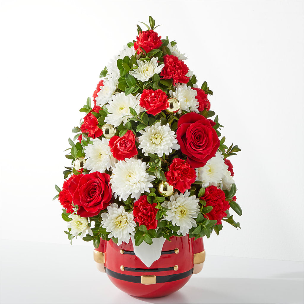 Royal Nutcracker Tree – Bird Of Paradise Flowers, Bristol PA