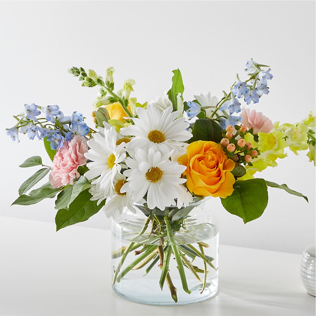 Sun Salutation Bouquet – Bird Of Paradise Flowers, Bristol PA