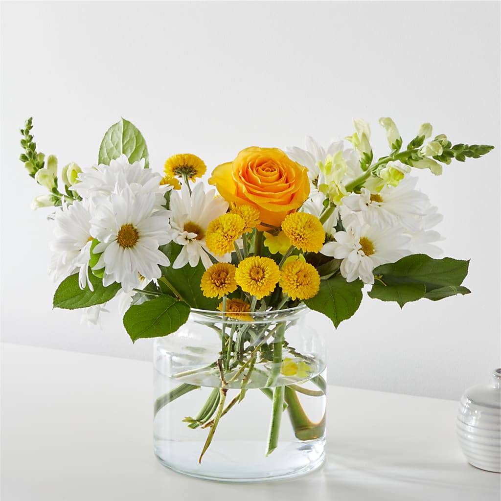 Sun Salutation Bouquet – Bird Of Paradise Flowers, Bristol PA