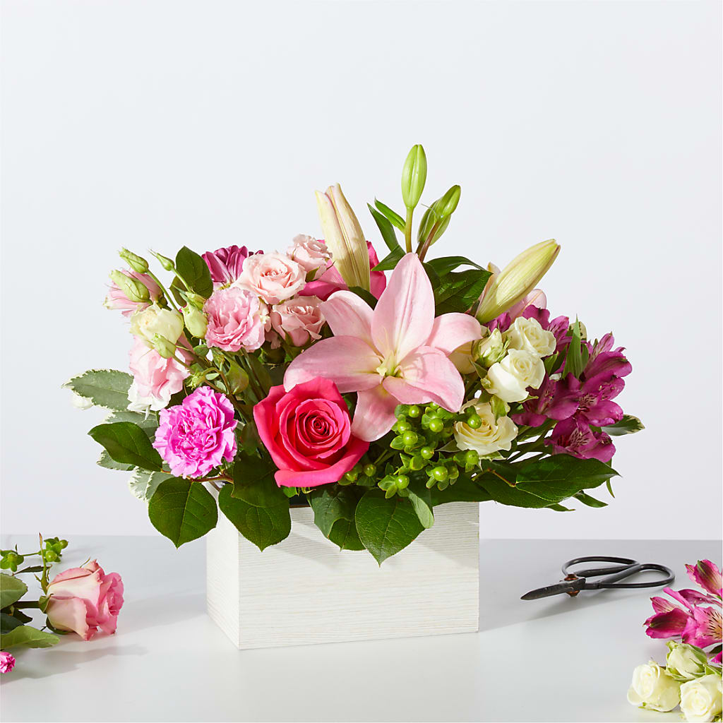 Sweetberry Box – A Florist Original – Bird Of Paradise Flowers, Bristol PA