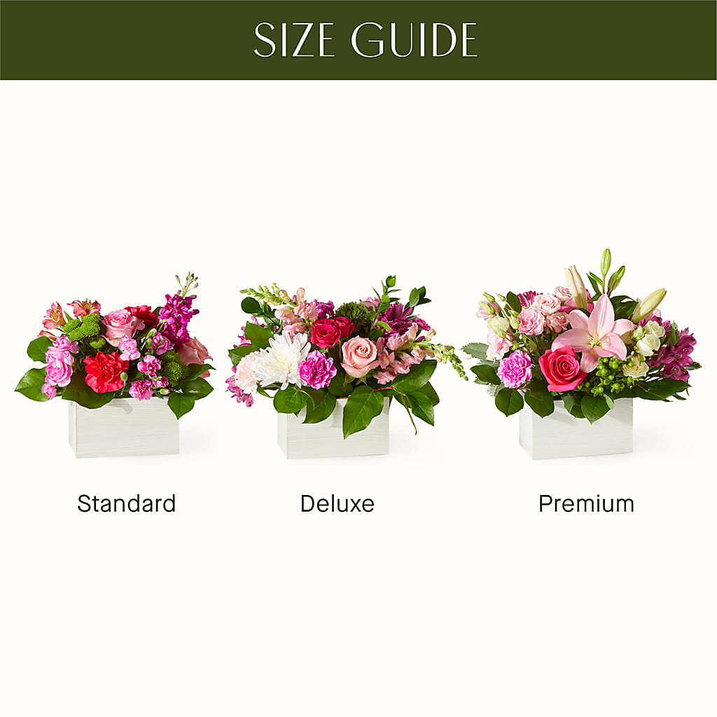 Sweetberry Box – A Florist Original – Bird Of Paradise Flowers, Bristol PA