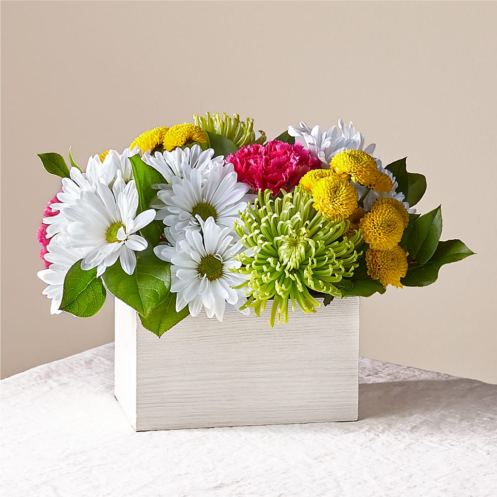 Sorbet Bouquet – Bird Of Paradise Flowers, Bristol PA