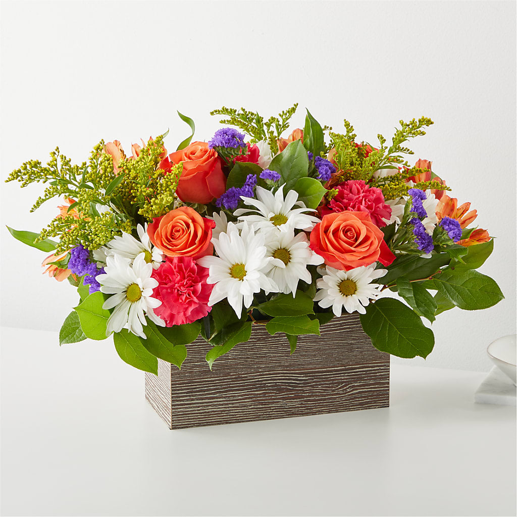 Oopsie Daisy Box Bouquet – Bird Of Paradise Flowers, Bristol PA