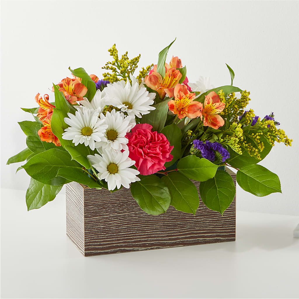 Oopsie Daisy Box Bouquet – Bird Of Paradise Flowers, Bristol PA
