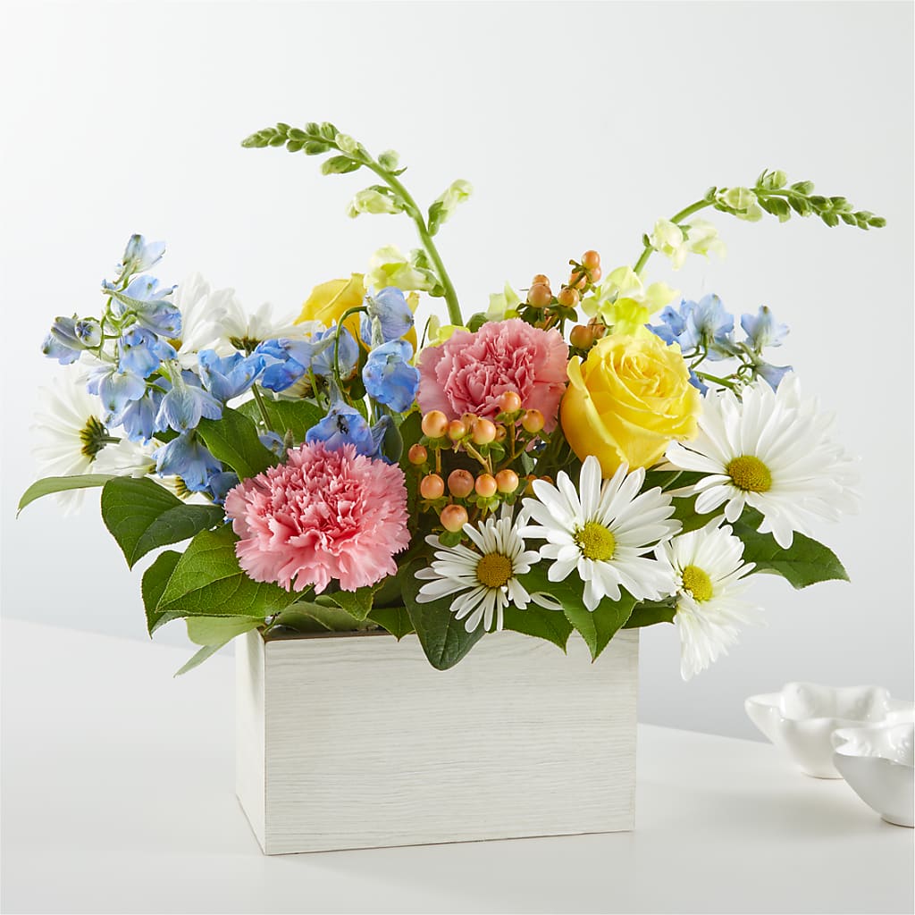 Sun Salutation Box Bouquet – Bird Of Paradise Flowers, Bristol PA