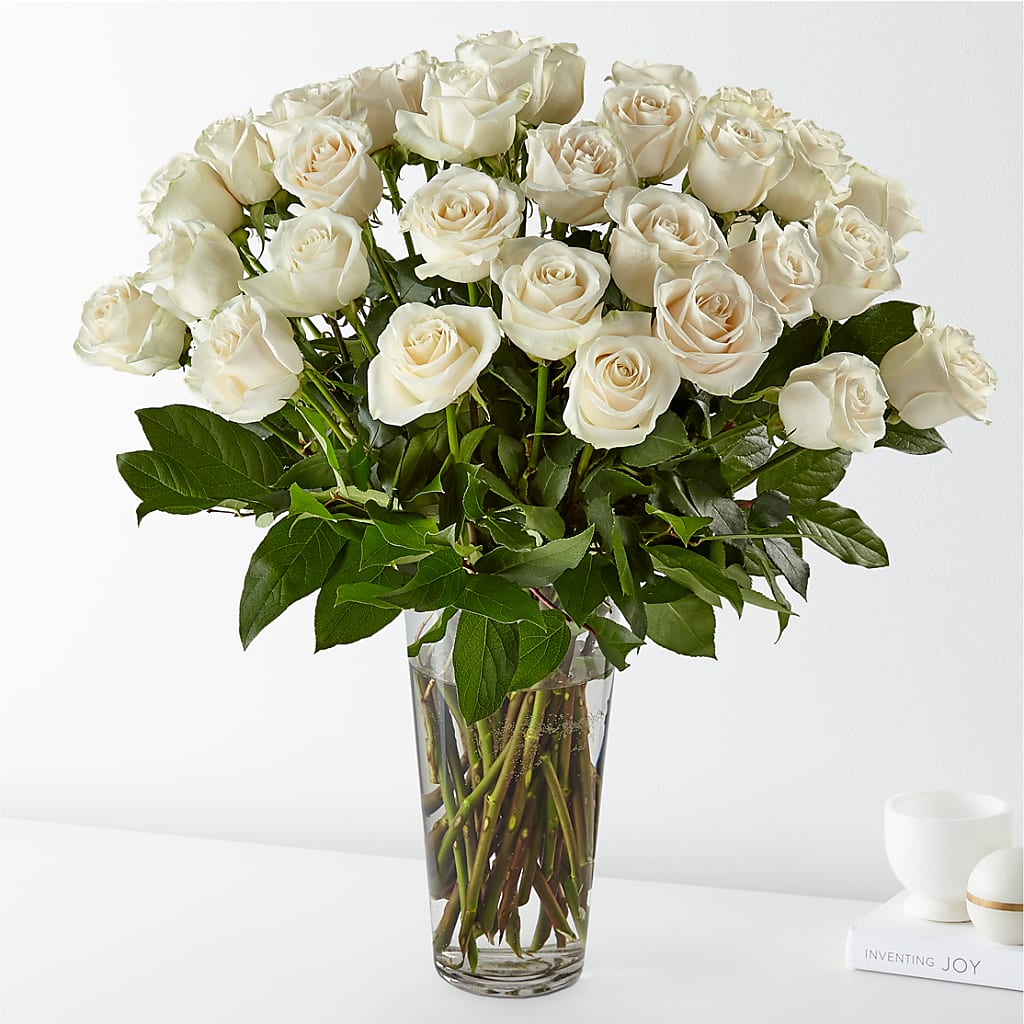 Long Stem White Rose Bouquet – Bird Of Paradise Flowers, Bristol PA