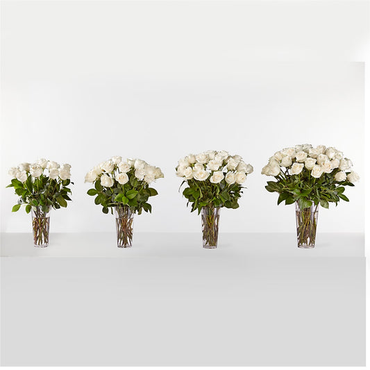 Long Stem White Rose Bouquet – Bird Of Paradise Flowers, Bristol PA