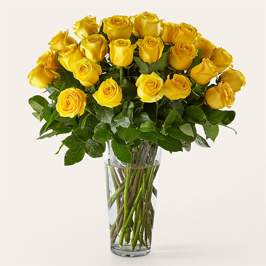 Long Stem Yellow Rose Bouquet – Bird Of Paradise Flowers, Bristol PA