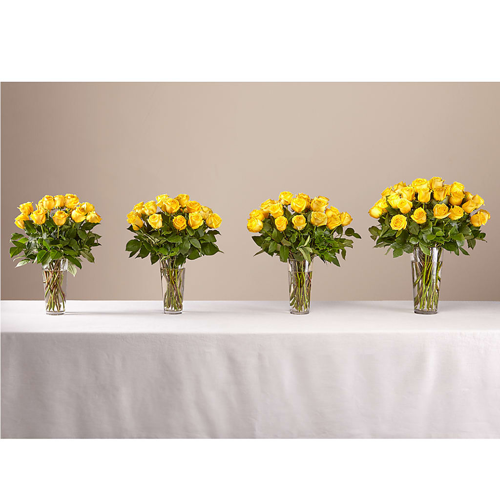 Long Stem Yellow Rose Bouquet – Bird Of Paradise Flowers, Bristol PA