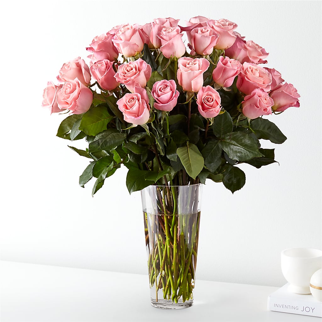 Long Stem Pink Rose Bouquet – Bird Of Paradise Flowers, Bristol PA