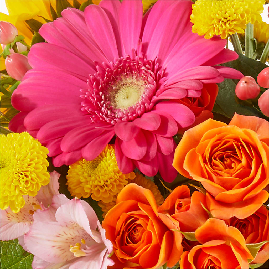 Florist Original Mixed Bouquet – Bird Of Paradise Flowers, Bristol PA