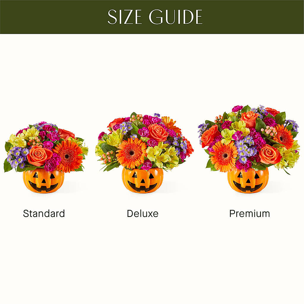 Tricks & Treats Pumpkin – Bird Of Paradise Flowers, Bristol PA