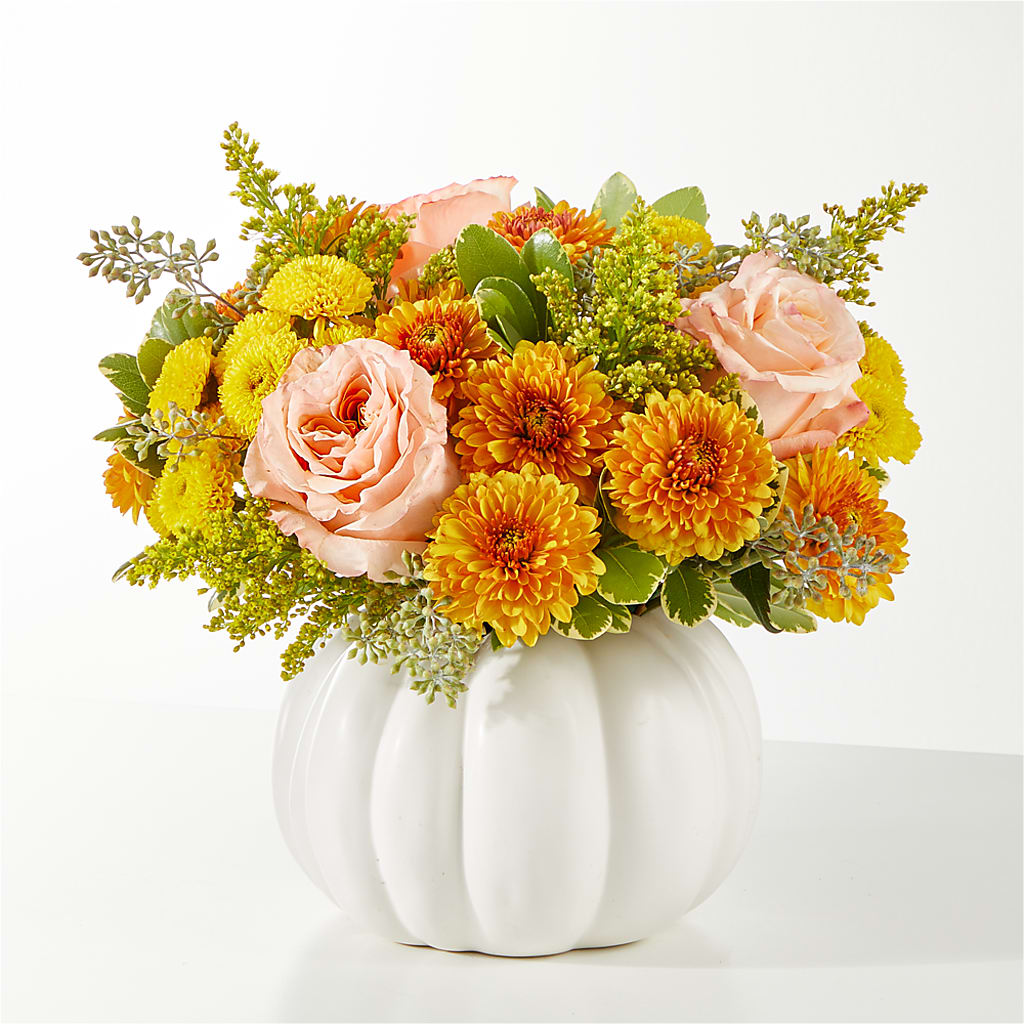 Peachy Pumpkin – Bird Of Paradise Flowers, Bristol PA