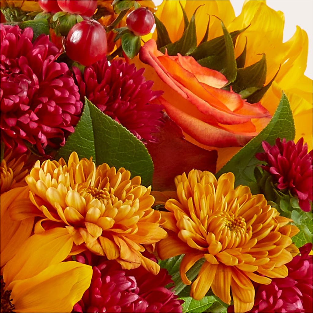 Sweater Season - A Florist Original – Bird Of Paradise Flowers, Bristol PA