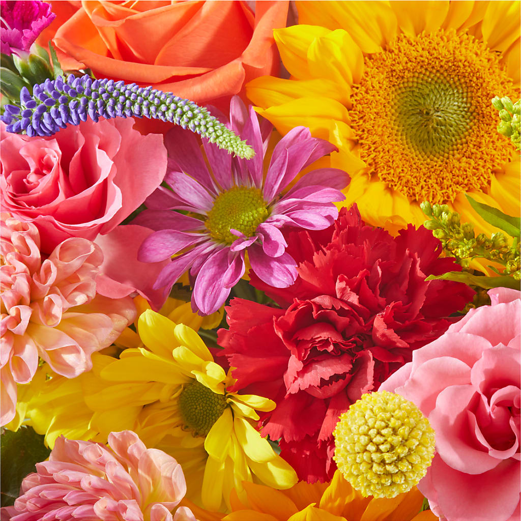 You're Invited - A Florist Original – Bird Of Paradise Flowers, Bristol PA