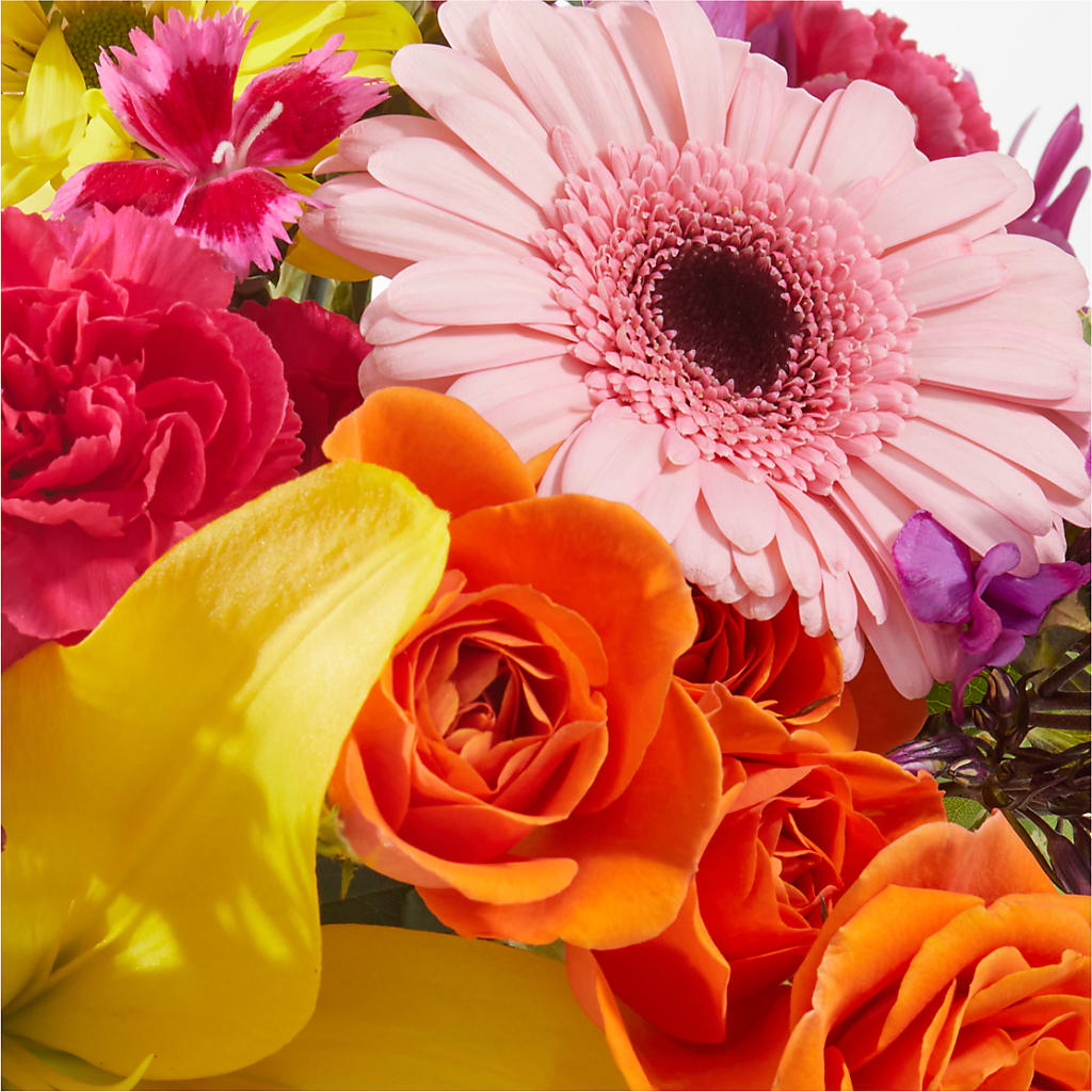 You're Invited - A Florist Original – Bird Of Paradise Flowers, Bristol PA