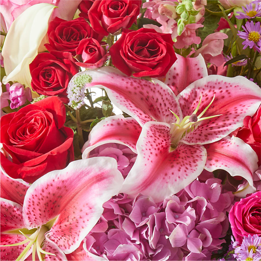 Better Together - A Luxury Florist Original – Bird Of Paradise Flowers, Bristol PA