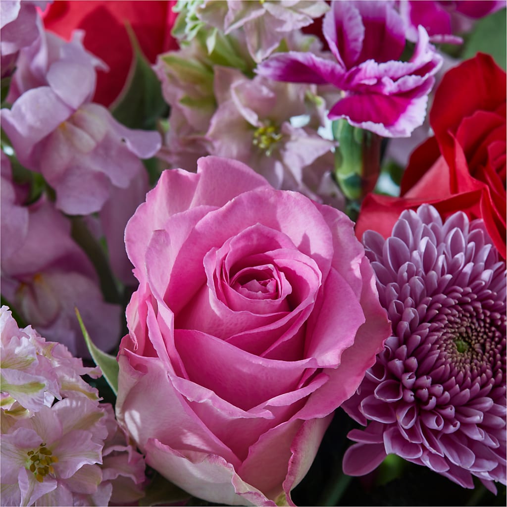 Better Together - A Luxury Florist Original – Bird Of Paradise Flowers, Bristol PA