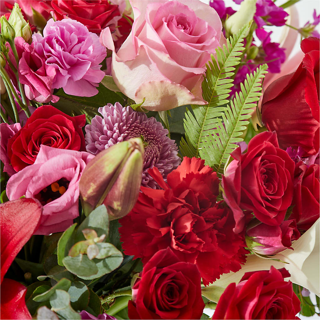 Simply the Best - A Florist Original – Bird Of Paradise Flowers, Bristol PA