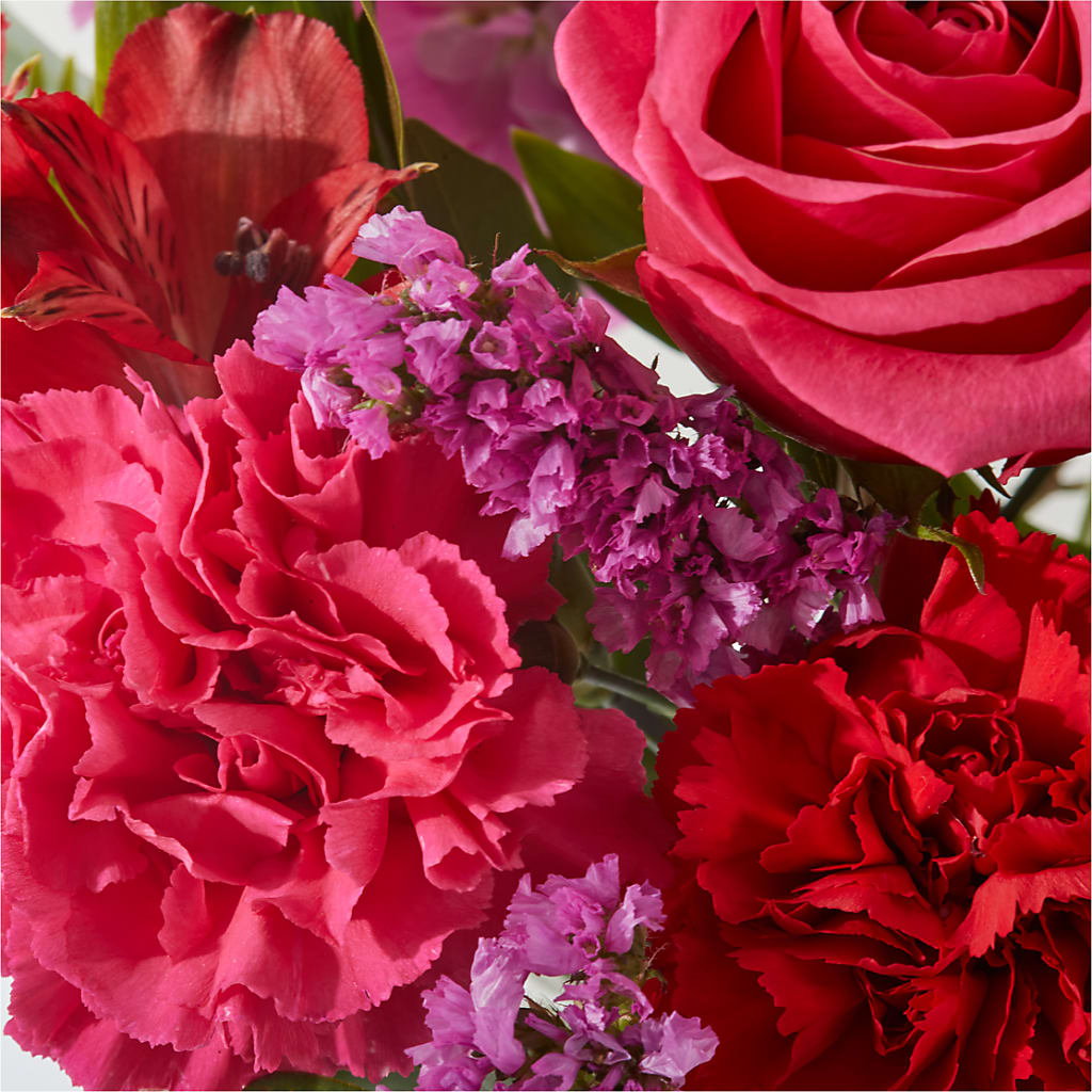 Simply the Best - A Florist Original – Bird Of Paradise Flowers, Bristol PA