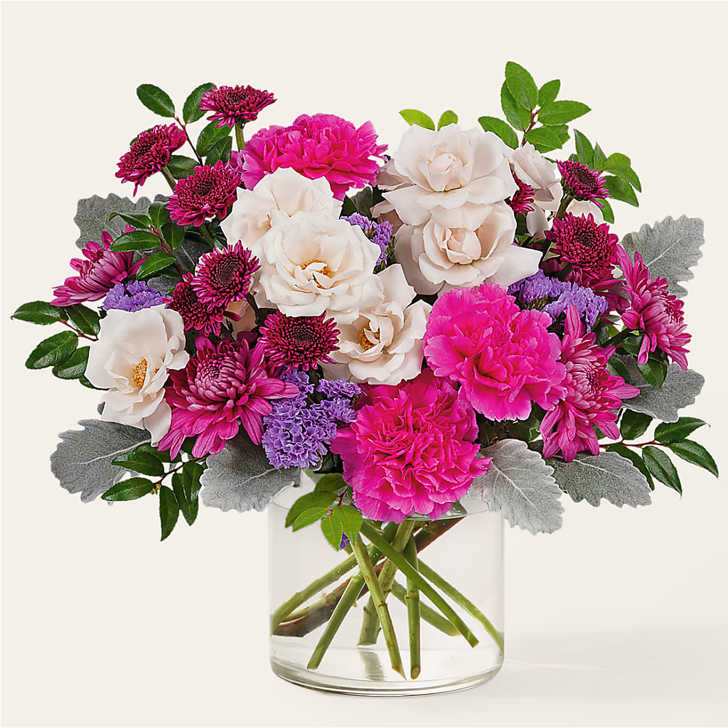 Dose of Cheer Bouquet – Bird Of Paradise Flowers, Bristol PA