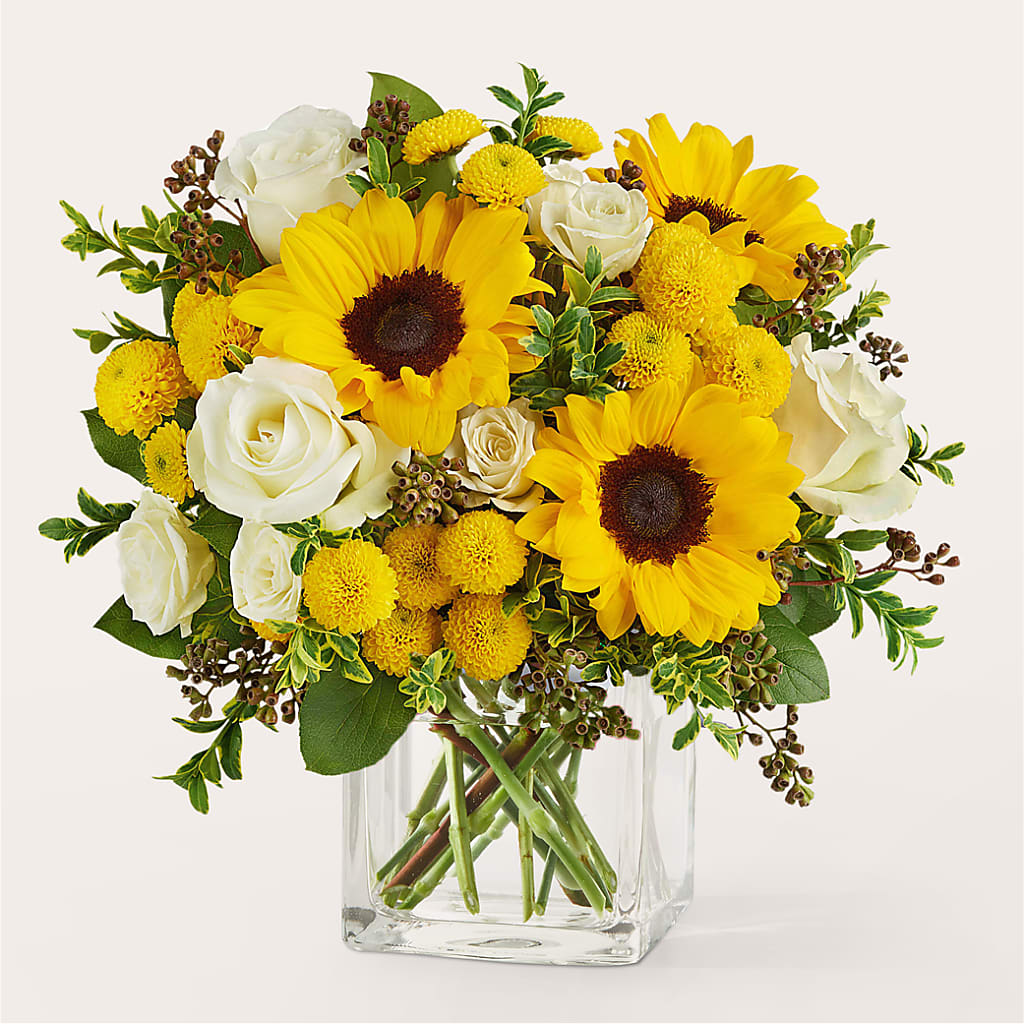 Luminous Morning Bouquet – Bird Of Paradise Flowers, Bristol PA
