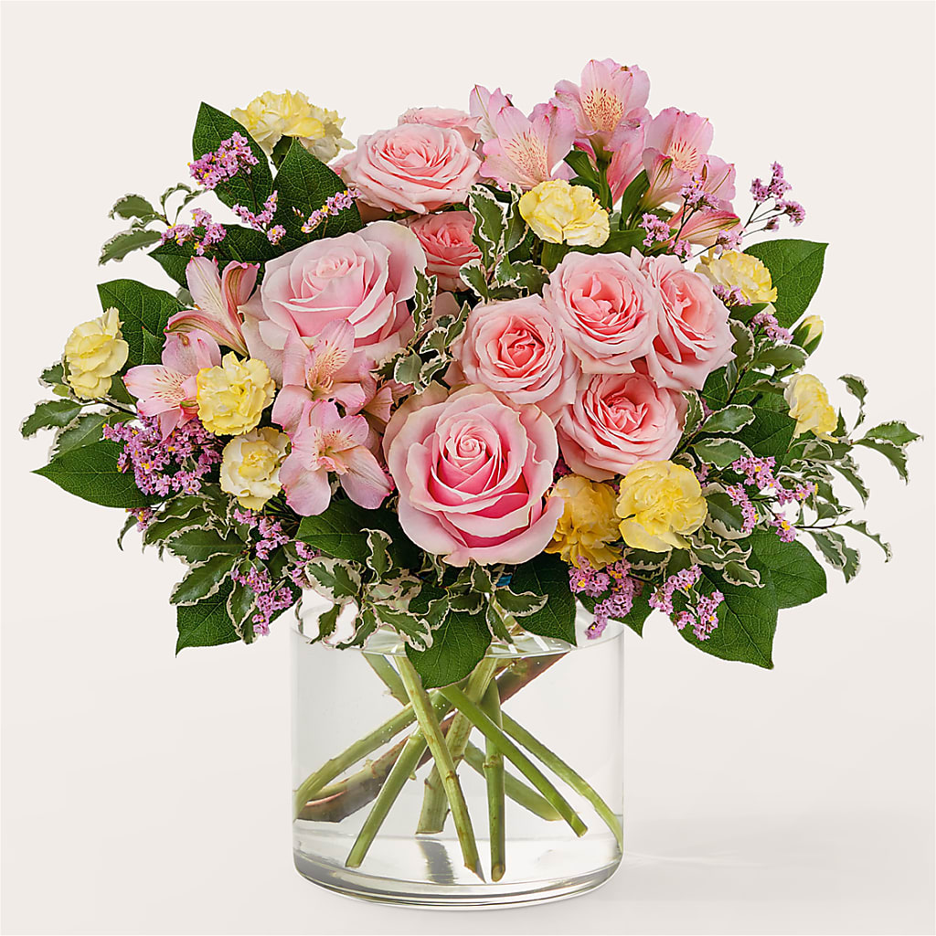 Refreshed Bouquet – Bird Of Paradise Flowers, Bristol PA