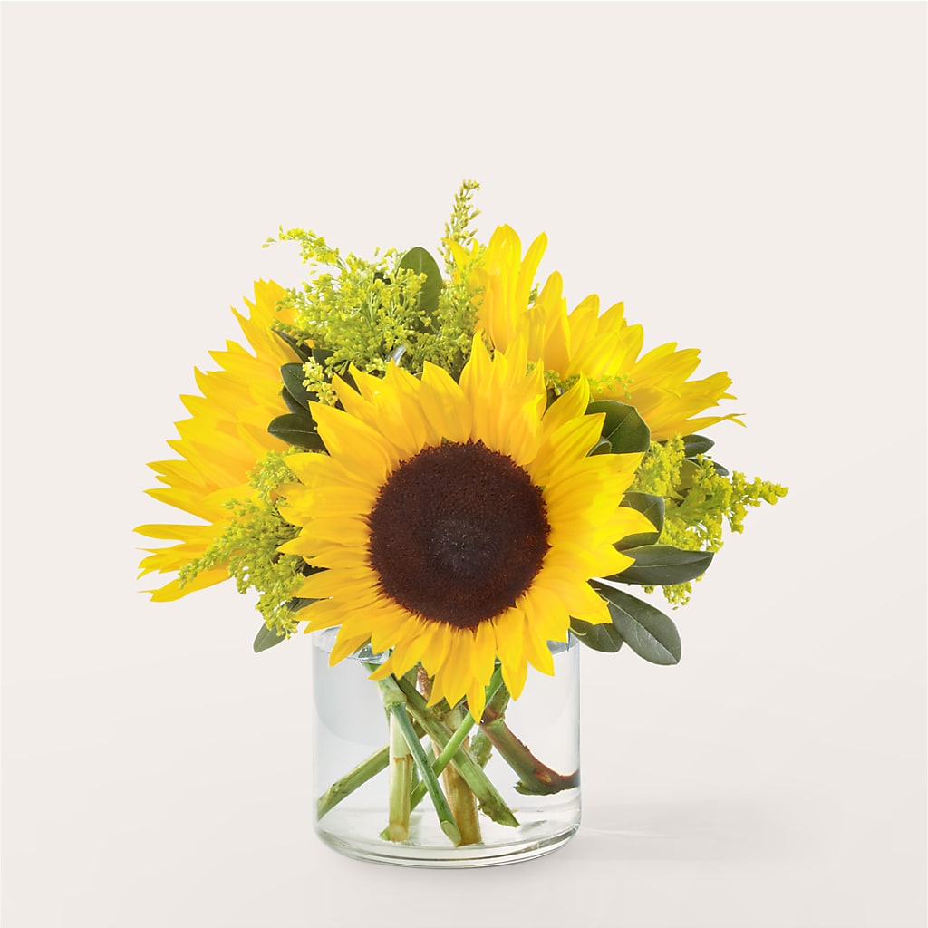 Beaming Sunflower Bouquet – Bird Of Paradise Flowers, Bristol PA