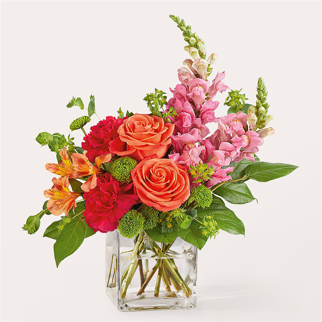 Cosmopolitan Bouquet – Bird Of Paradise Flowers, Bristol PA