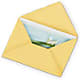 Greeting Card – Bird Of Paradise Flowers, Bristol PA