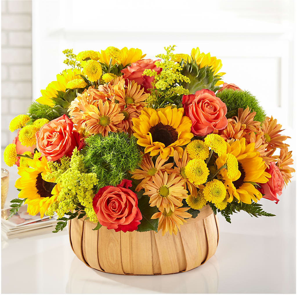 Harvest Sunflower Basket – Bird Of Paradise Flowers, Bristol PA