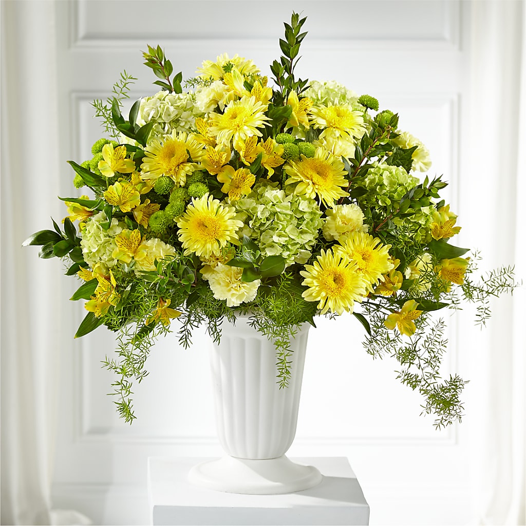 Beloved Blessings Arrangement – Bird Of Paradise Flowers, Bristol PA