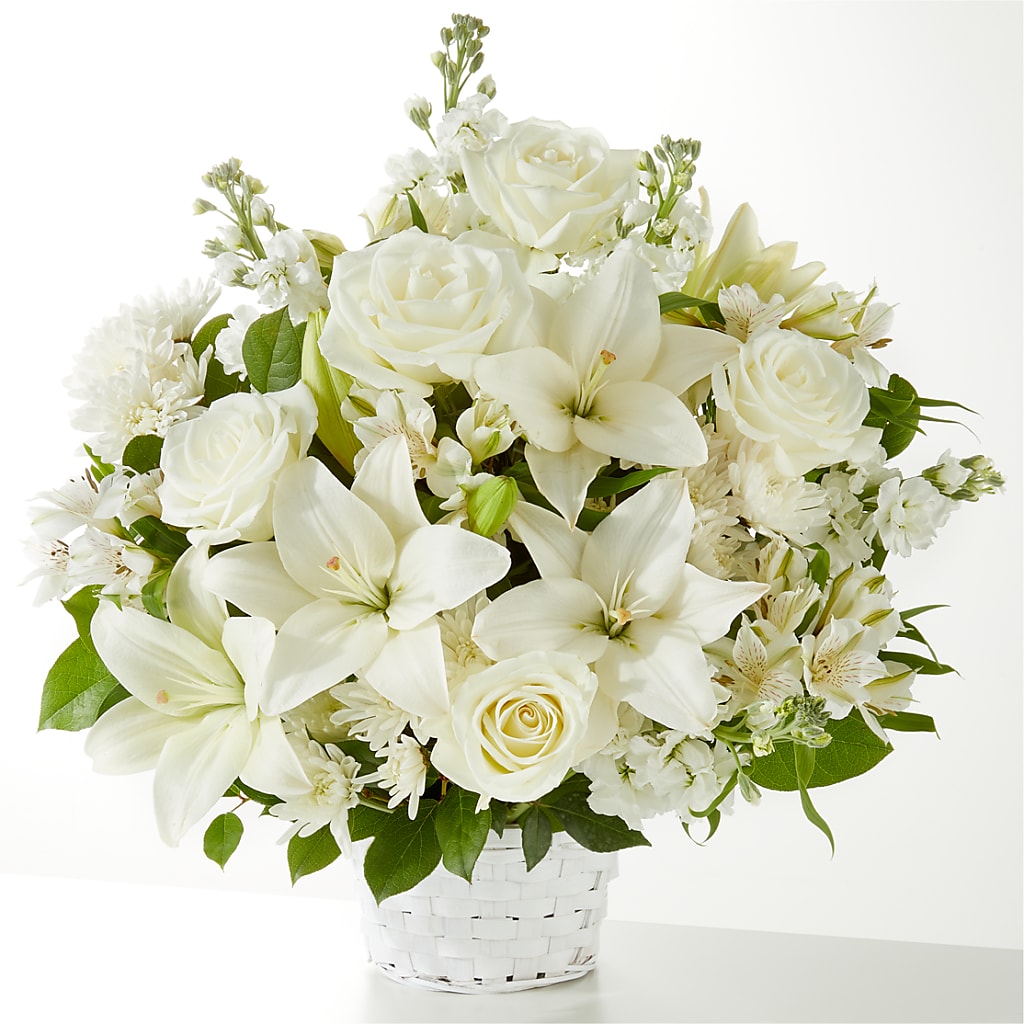 Peaceful Reflections Arrangement – Bird Of Paradise Flowers, Bristol PA