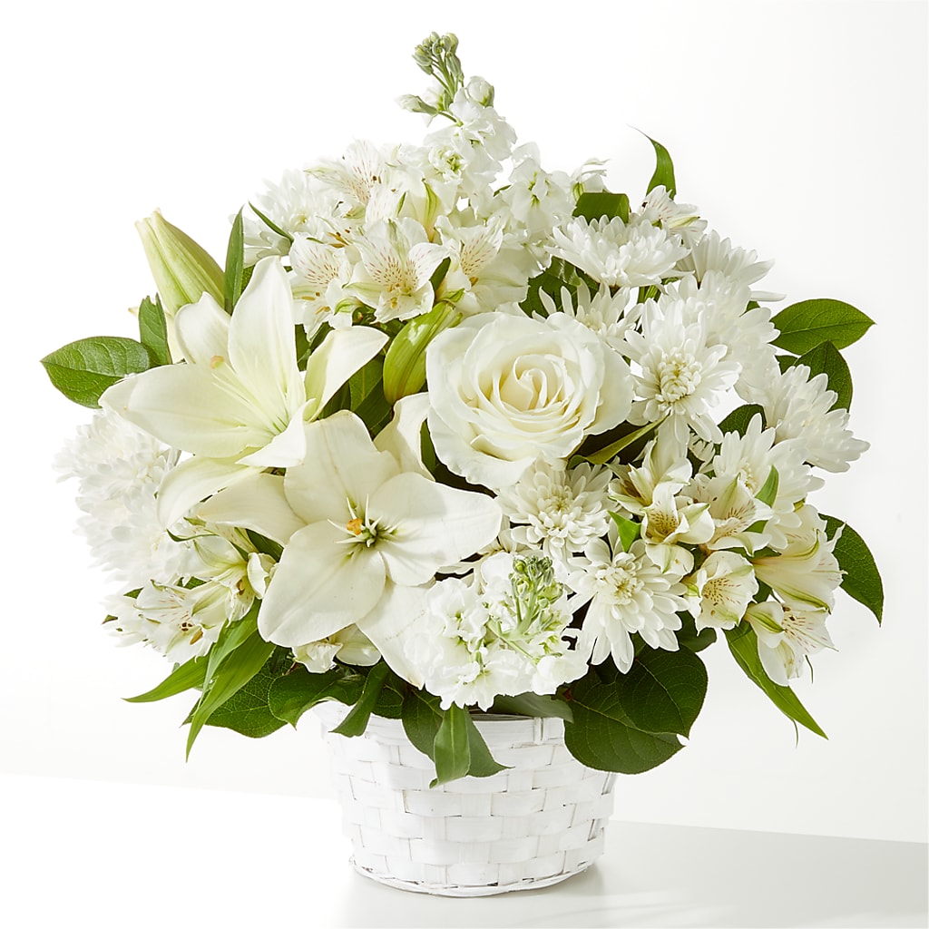 Peaceful Reflections Arrangement – Bird Of Paradise Flowers, Bristol PA