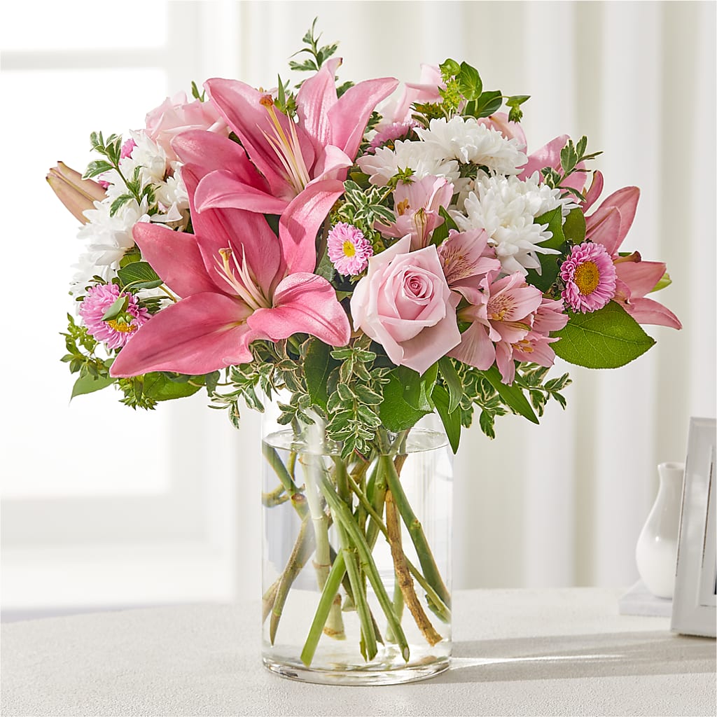 Healing Hug Bouquet – Bird Of Paradise Flowers, Bristol PA