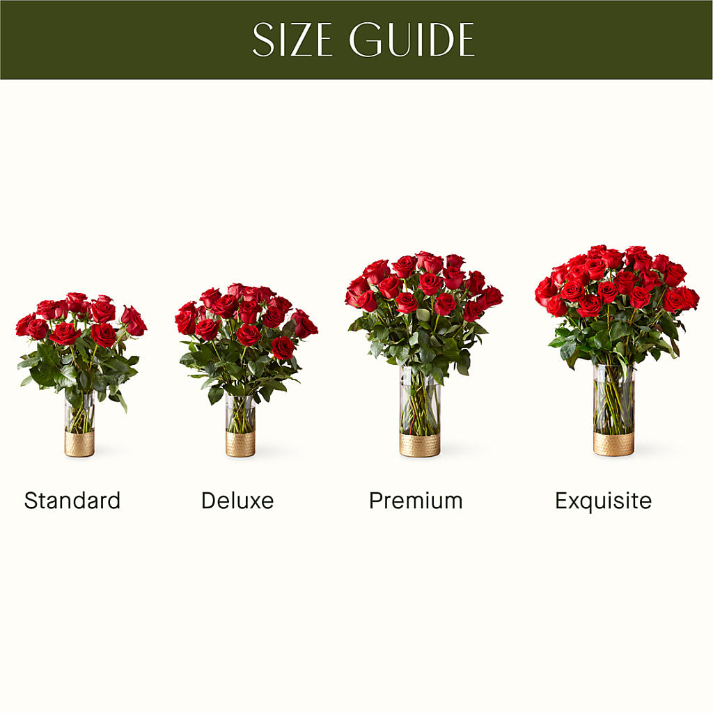 Classic Love Red Rose Bouquet – Bird Of Paradise Flowers, Bristol PA