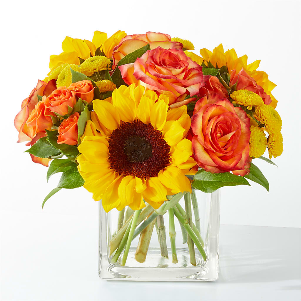 Picnic in the Park Bouquet – Bird Of Paradise Flowers, Bristol PA