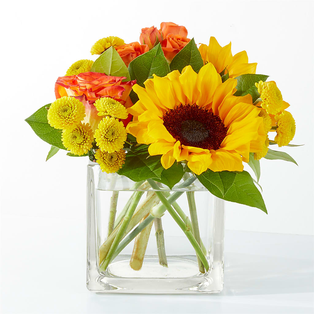 Picnic in the Park Bouquet – Bird Of Paradise Flowers, Bristol PA