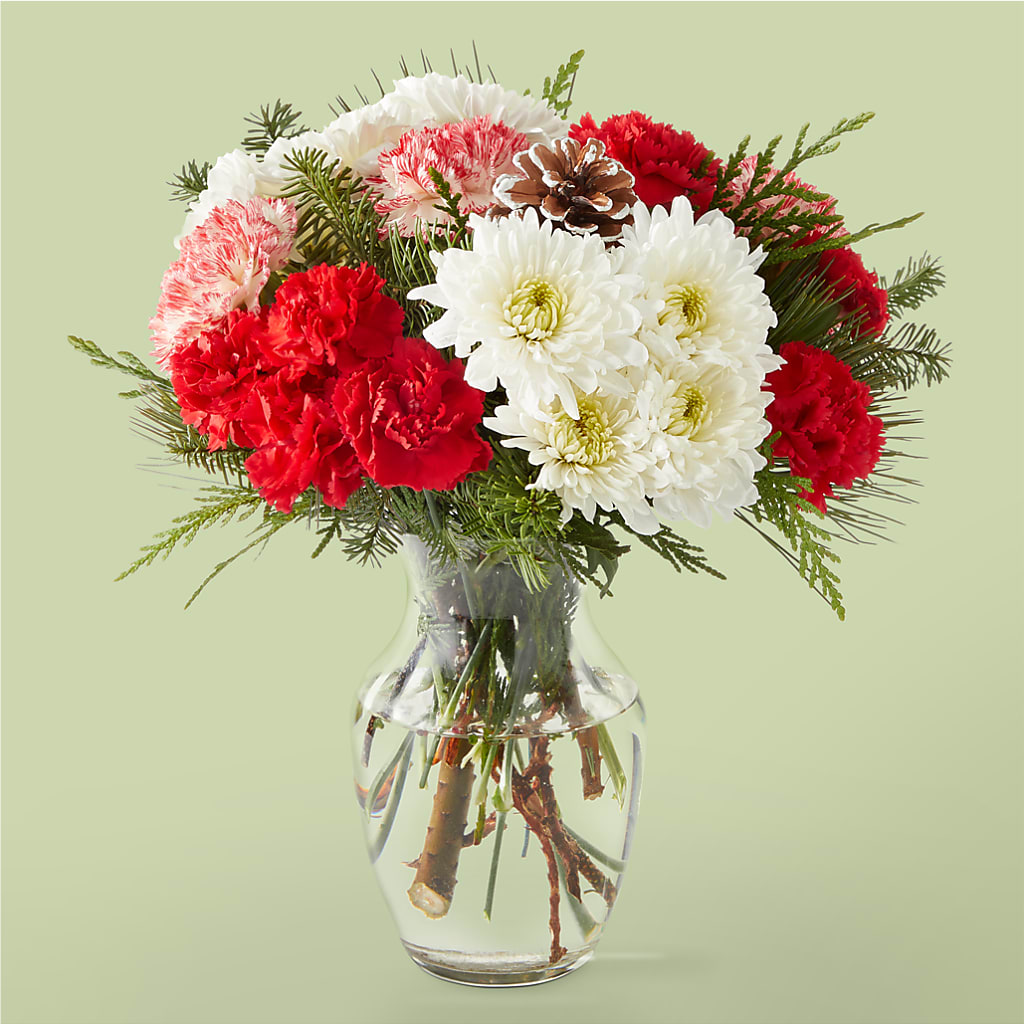 Candy Cane Lane Bouquet – Bird Of Paradise Flowers, Bristol PA
