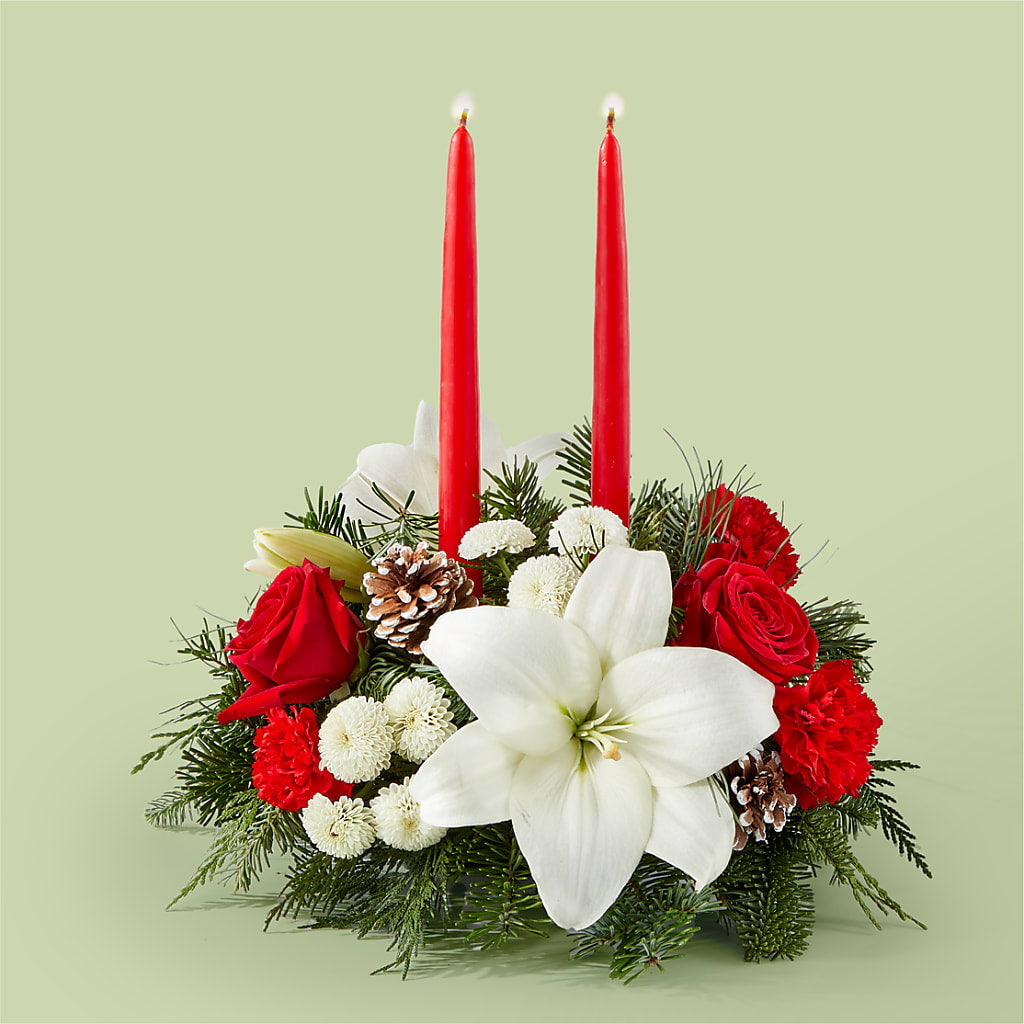 Seasonal Festivities Centerpiece – Bird Of Paradise Flowers, Bristol PA