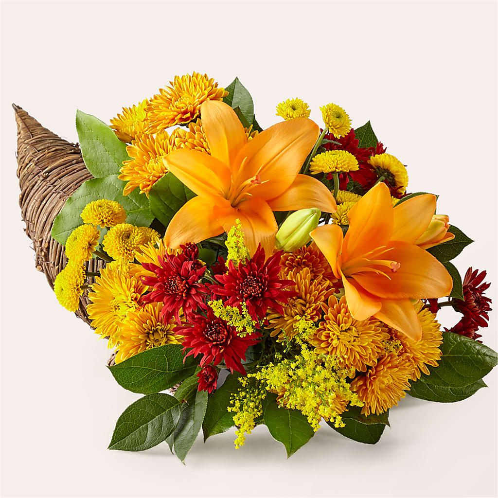 Feast of Color Cornucopia – Bird Of Paradise Flowers, Bristol PA