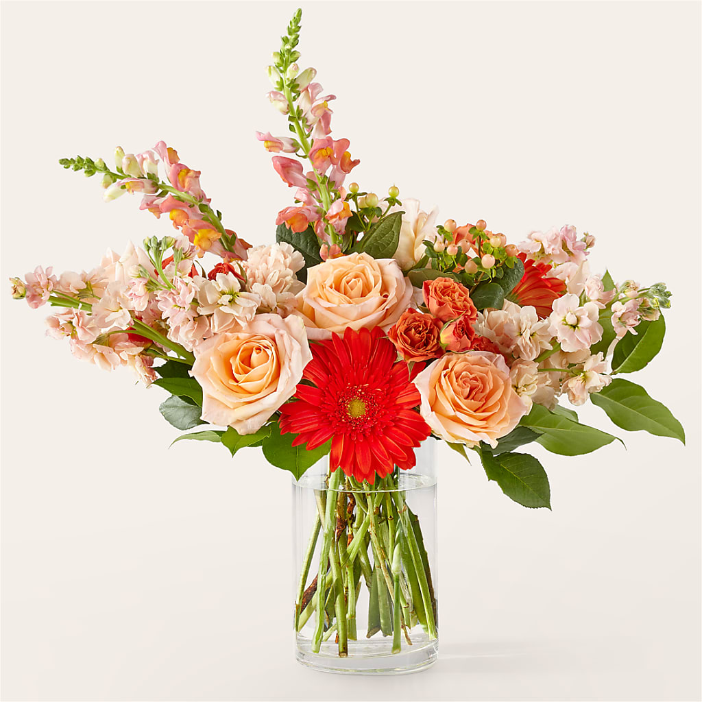 Paloma Please Bouquet – Bird Of Paradise Flowers, Bristol PA