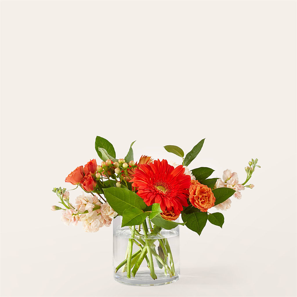 Paloma Please Bouquet – Bird Of Paradise Flowers, Bristol PA