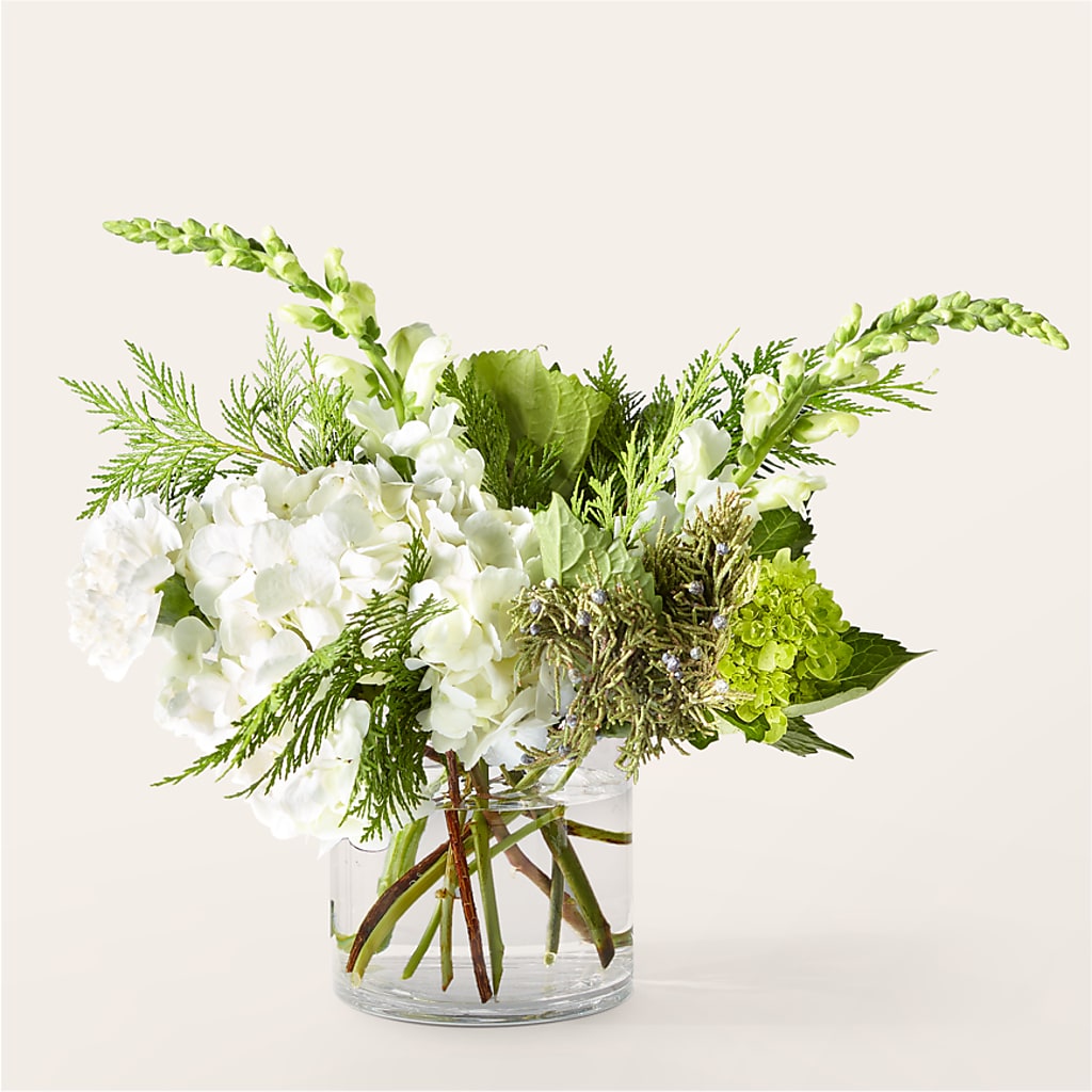 Marshmallows on Top Bouquet – Bird Of Paradise Flowers, Bristol PA